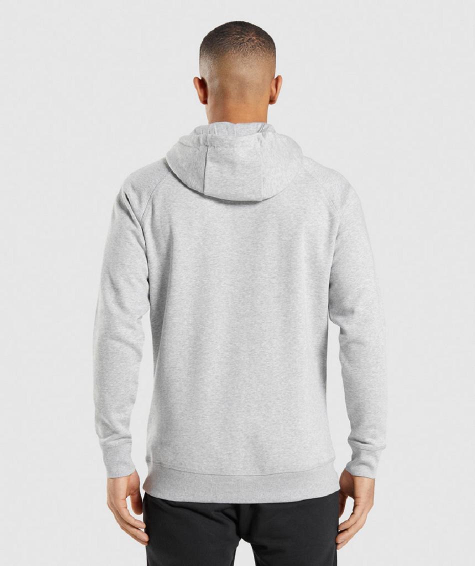 Sudadera Con Capucha Gymshark Crest Hombre Grises Claro | MX_3478GSO