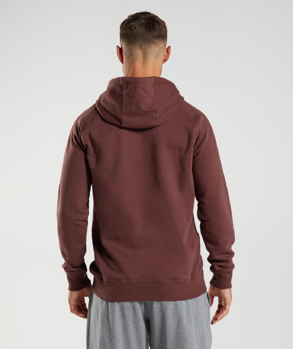 Sudadera Con Capucha Gymshark Crest Hombre Rosas Marrom | MX_3483DFM