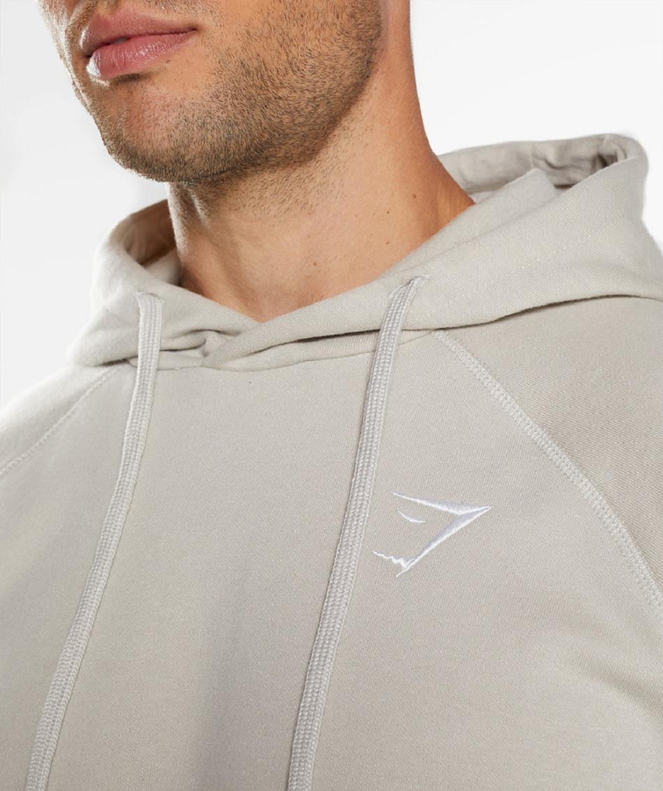 Sudadera Con Capucha Gymshark Crest Hombre Grises | MX_3493VRW