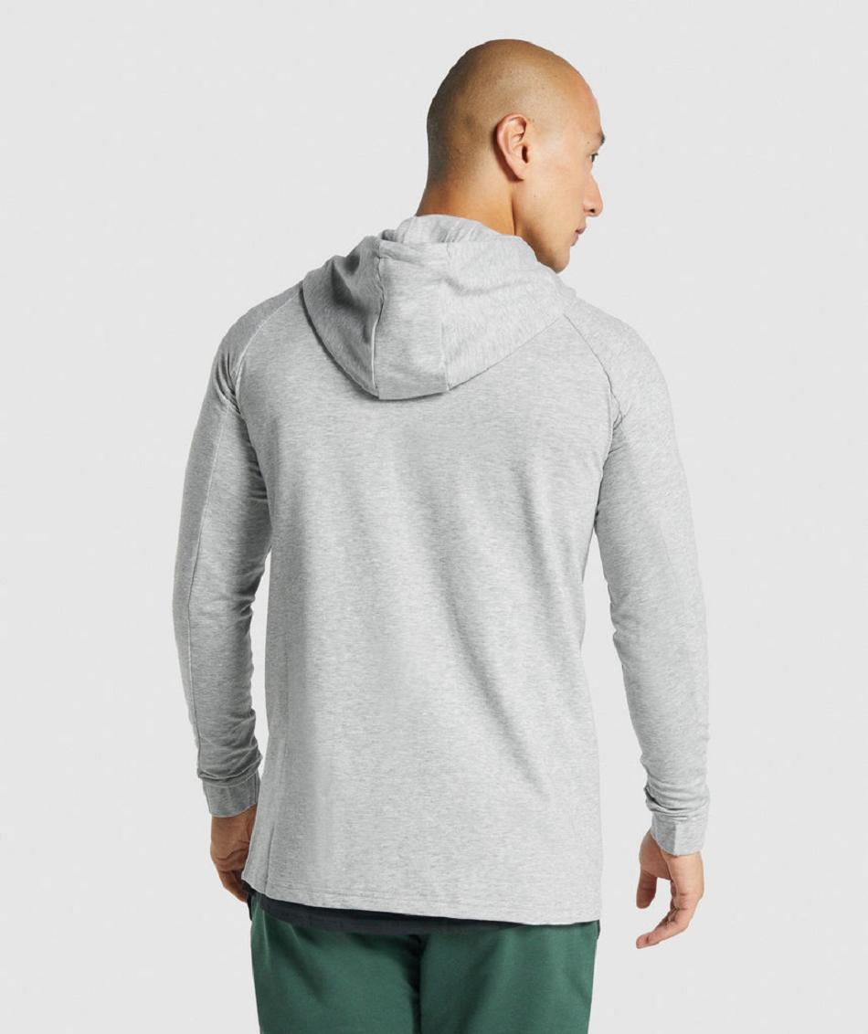 Sudadera Con Capucha Gymshark Critical 2.0 Zip Up Hombre Grises Claro | MX_2985KOR