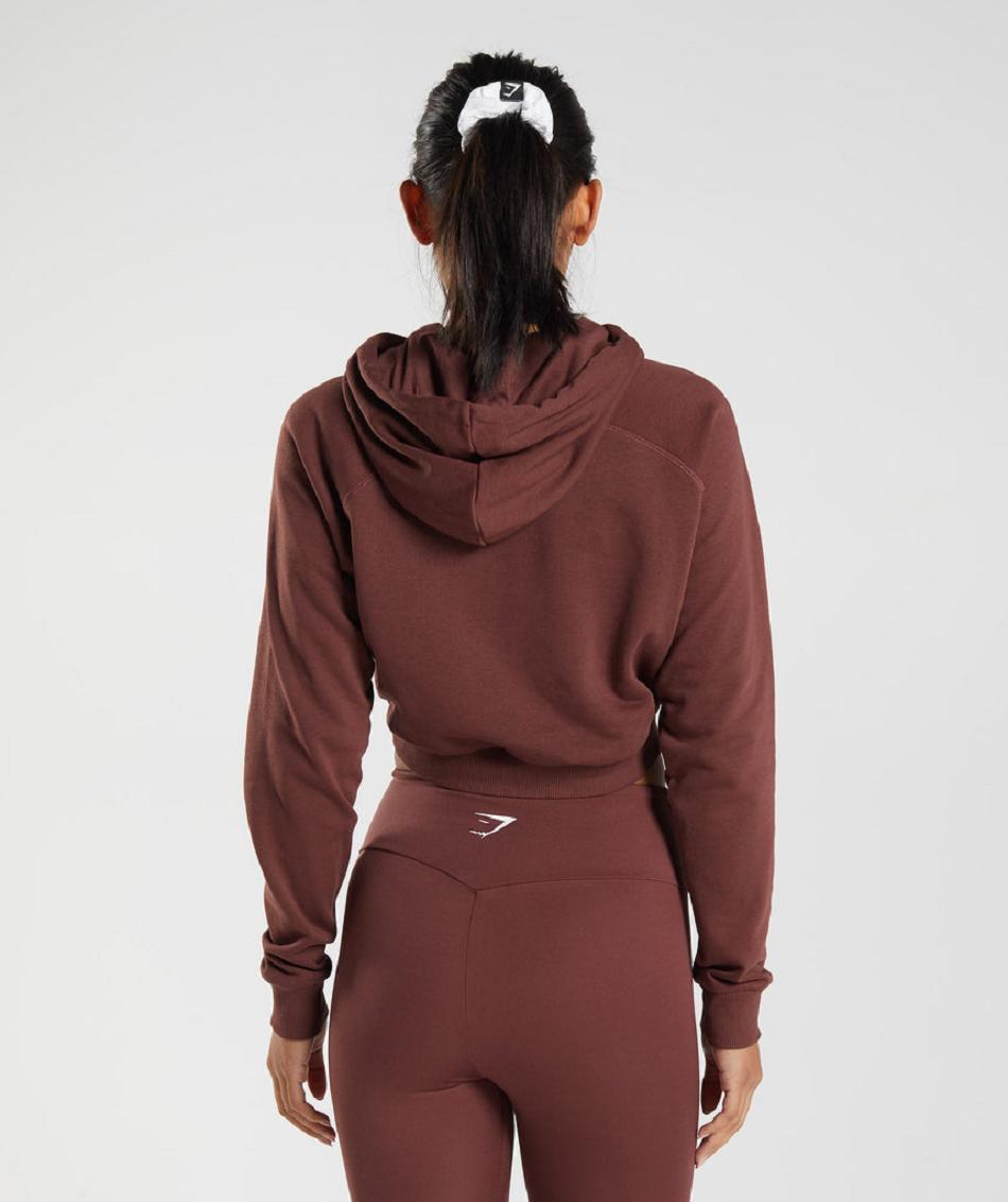 Sudadera Con Capucha Gymshark Entrenamiento Cropped Mujer Rosas Marrom | MX_4314SGL