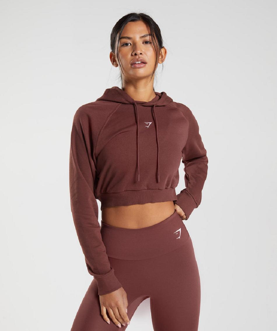 Sudadera Con Capucha Gymshark Entrenamiento Cropped Mujer Rosas Marrom | MX_4314SGL