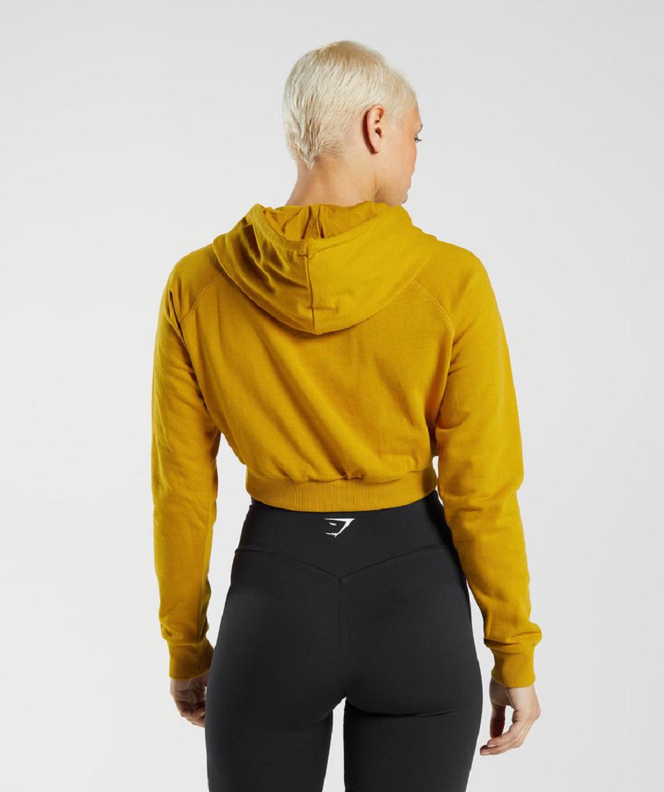 Sudadera Con Capucha Gymshark Entrenamiento Cropped Mujer Amarillos | MX_4317GSO