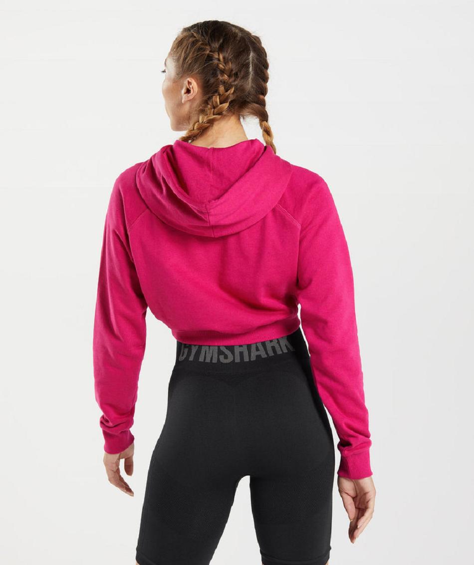 Sudadera Con Capucha Gymshark Entrenamiento Cropped Mujer Rosas | MX_4321LIS