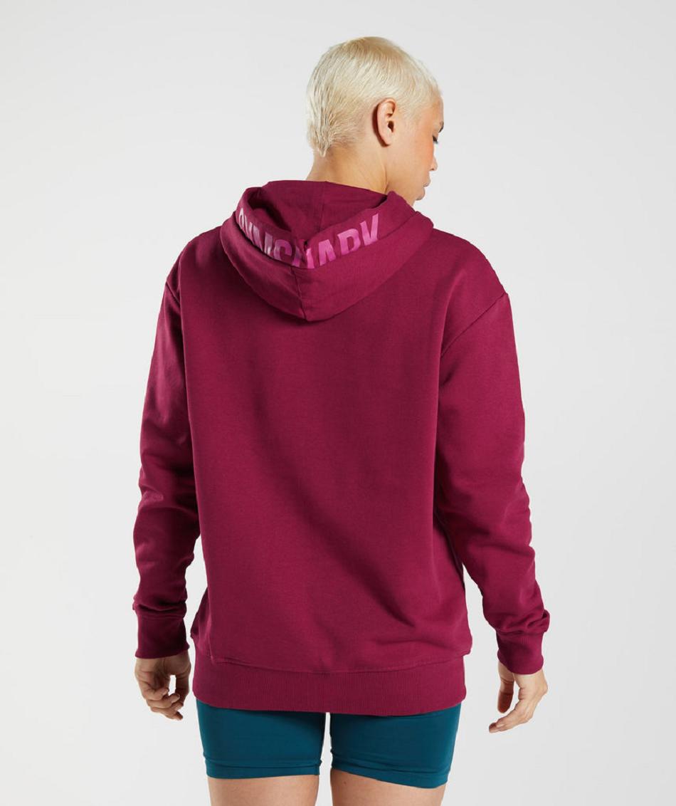 Sudadera Con Capucha Gymshark Graphics Fraction Mujer Rosas | MX_4307SGL