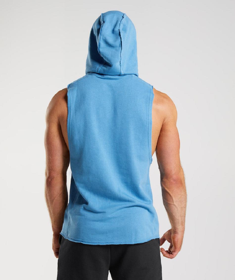 Sudadera Con Capucha Gymshark Legacy Drop Arm Hombre Azules | MX_3446WNB