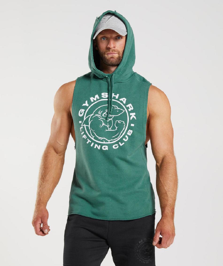 Sudadera Con Capucha Gymshark Legacy Drop Arm Hombre Verdes | MX_3450YXF