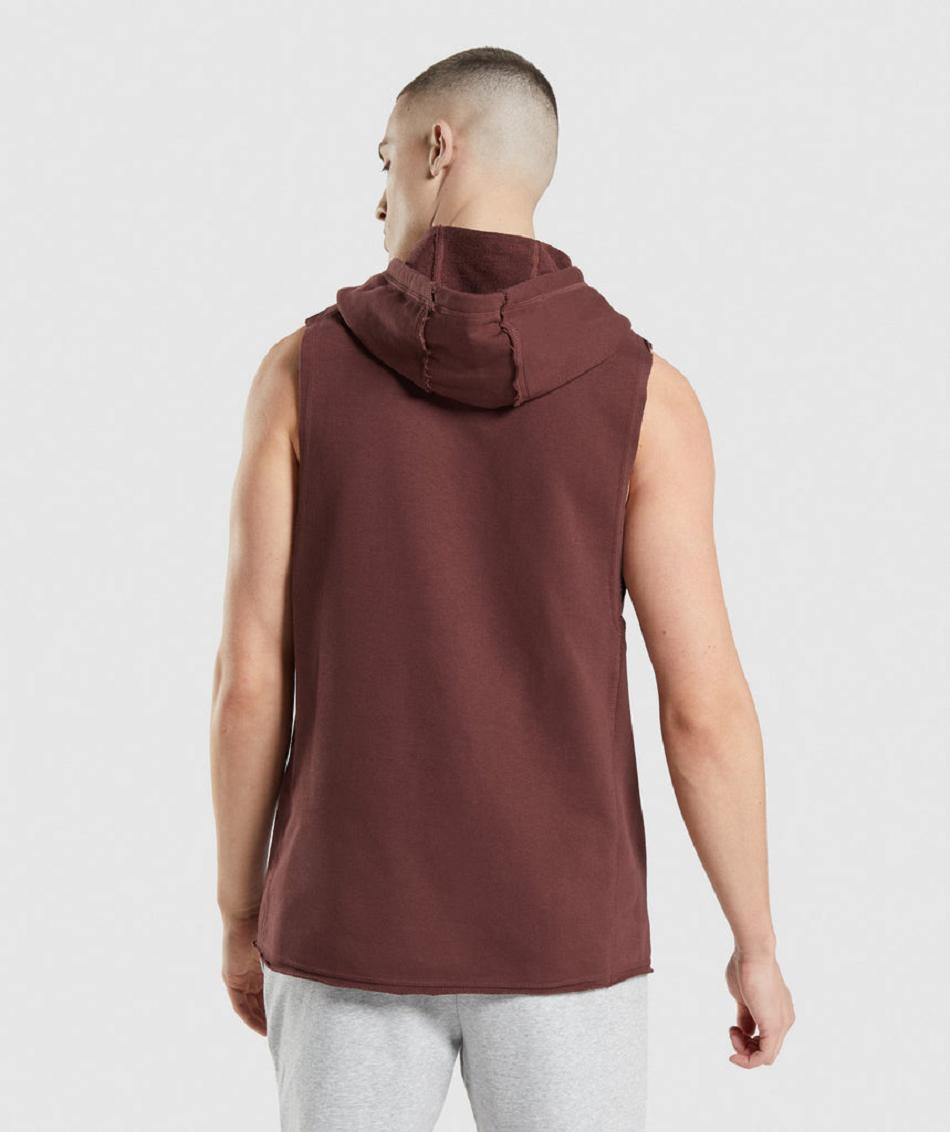 Sudadera Con Capucha Gymshark Legacy Drop Arm Hombre Rosas Marrom | MX_3455AHK