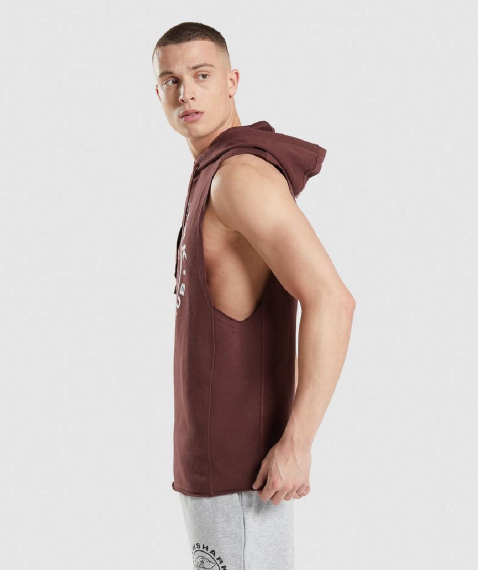 Sudadera Con Capucha Gymshark Legacy Drop Arm Hombre Rosas Marrom | MX_3455AHK