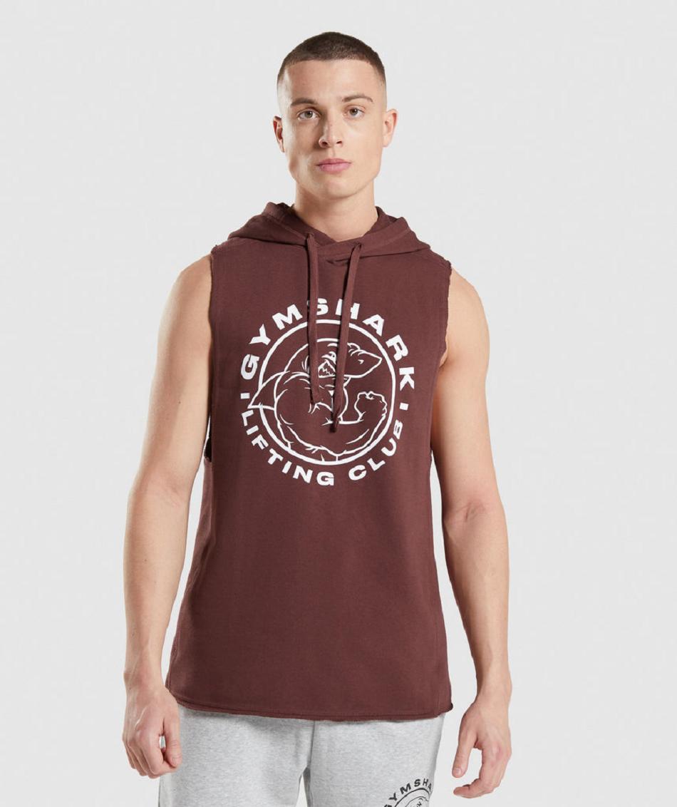 Sudadera Con Capucha Gymshark Legacy Drop Arm Hombre Rosas Marrom | MX_3455AHK