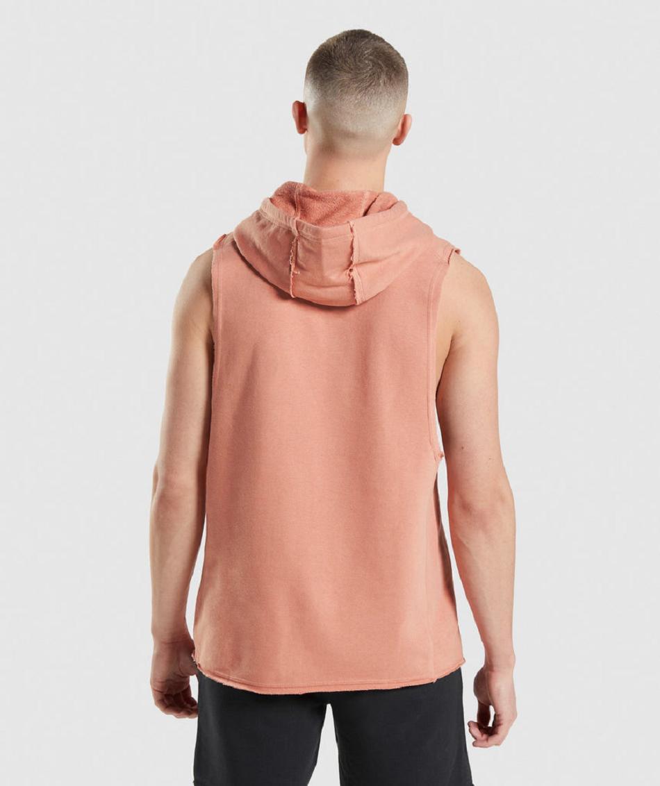 Sudadera Con Capucha Gymshark Legacy Drop Arm Hombre Rosas | MX_3457SGL