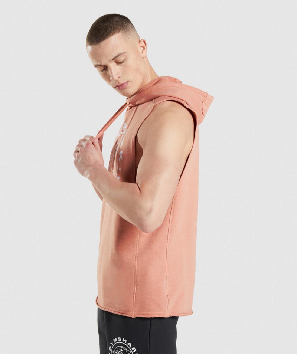 Sudadera Con Capucha Gymshark Legacy Drop Arm Hombre Rosas | MX_3457SGL