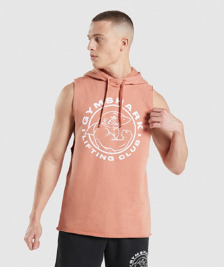 Sudadera Con Capucha Gymshark Legacy Drop Arm Hombre Rosas | MX_3457SGL