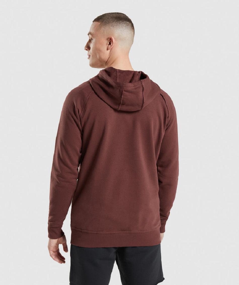 Sudadera Con Capucha Gymshark Legacy Hombre Rosas Marrom | MX_3462JPQ