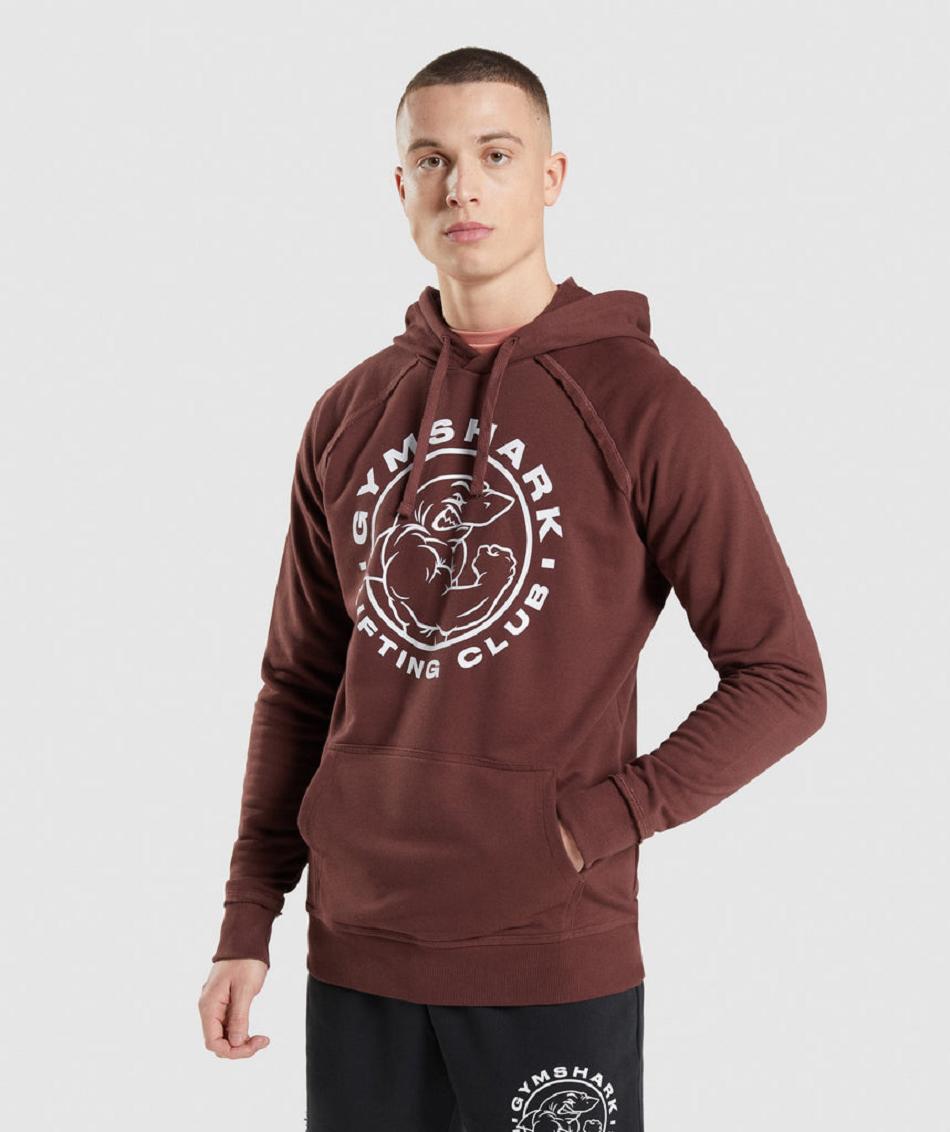 Sudadera Con Capucha Gymshark Legacy Hombre Rosas Marrom | MX_3462JPQ