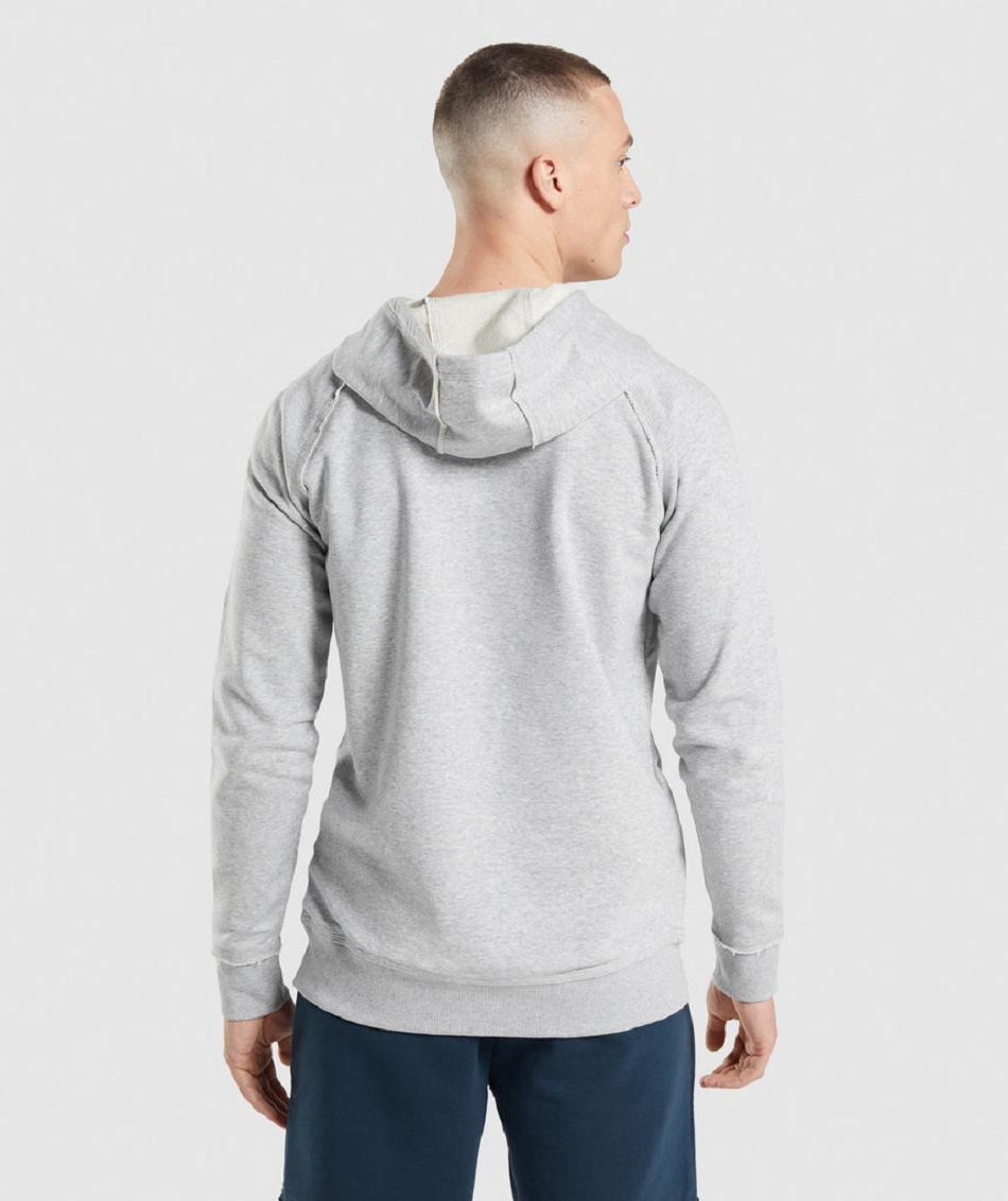 Sudadera Con Capucha Gymshark Legacy Hombre Grises Claro | MX_3466XYU