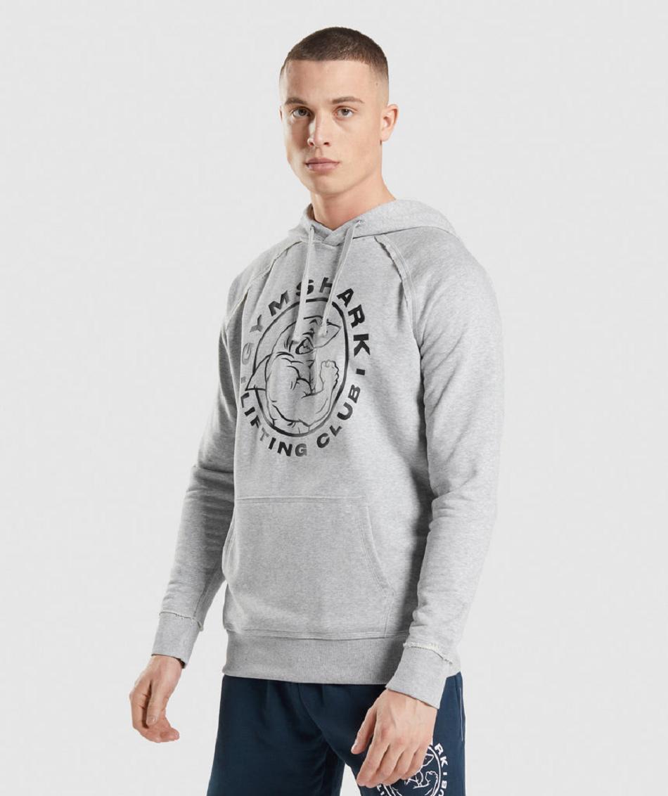 Sudadera Con Capucha Gymshark Legacy Hombre Grises Claro | MX_3466XYU