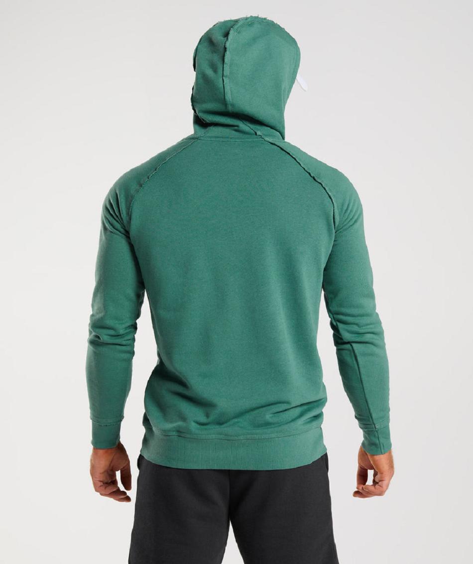 Sudadera Con Capucha Gymshark Legacy Hombre Verdes | MX_3476DFM