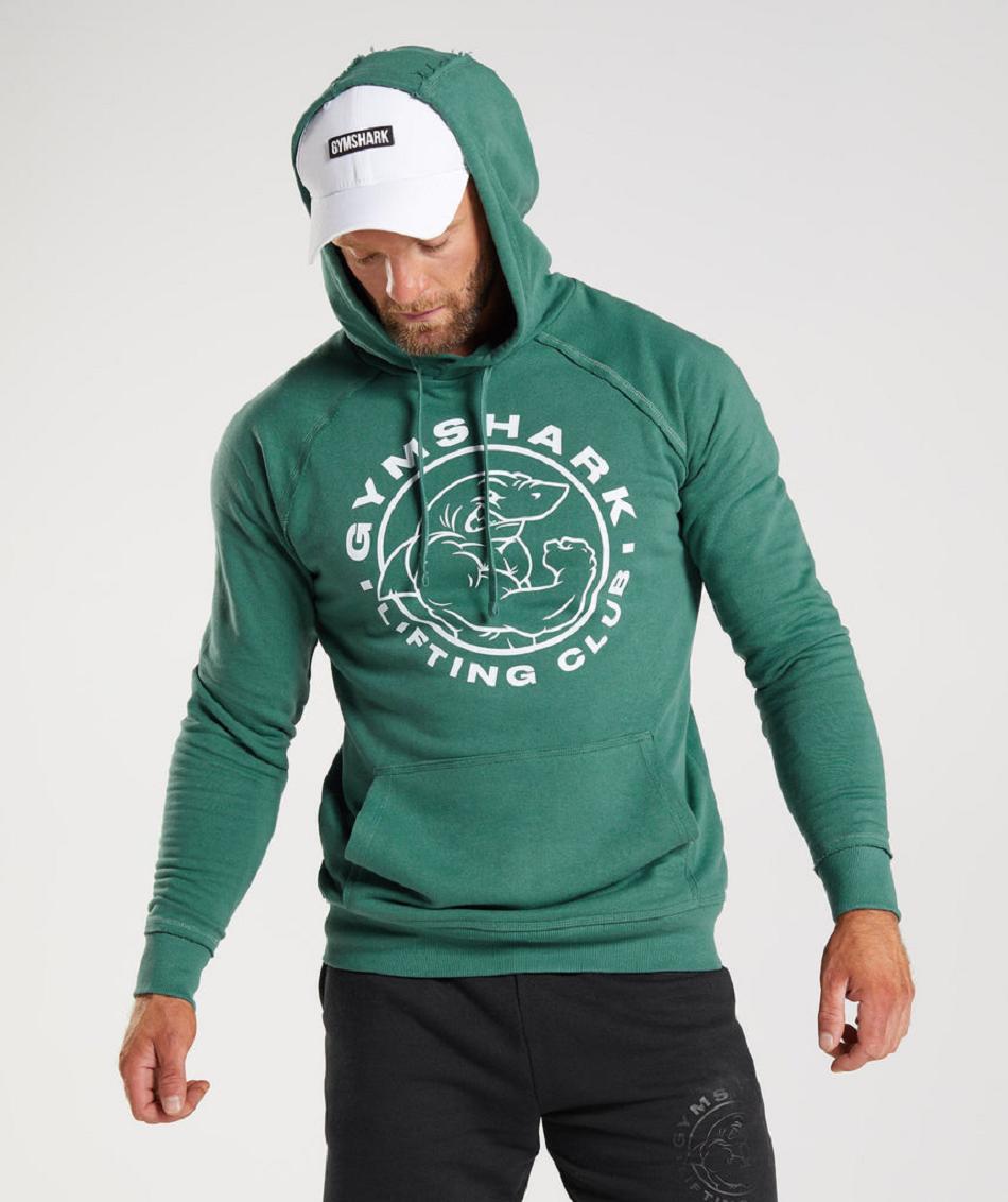 Sudadera Con Capucha Gymshark Legacy Hombre Verdes | MX_3476DFM