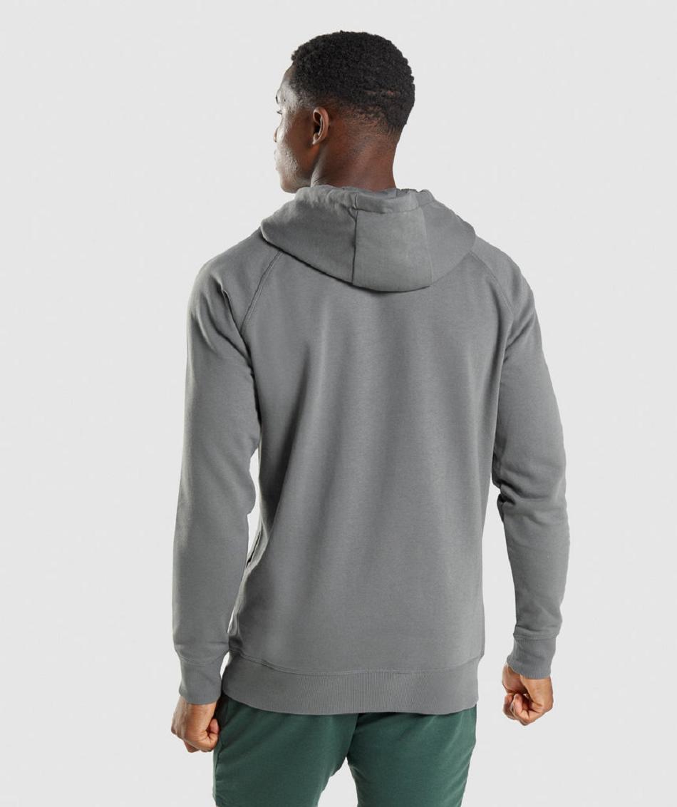 Sudadera Con Capucha Gymshark Sharkhead Infill Hombre Grises | MX_3460GSO