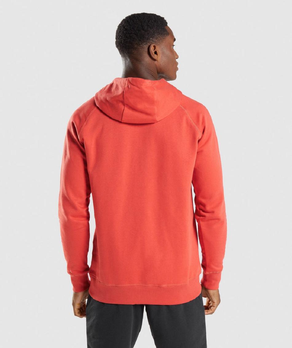 Sudadera Con Capucha Gymshark Sharkhead Infill Hombre Rojos | MX_3469BEX