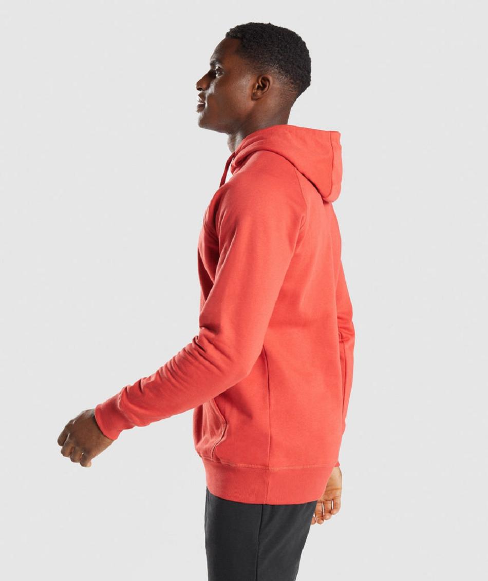 Sudadera Con Capucha Gymshark Sharkhead Infill Hombre Rojos | MX_3469BEX