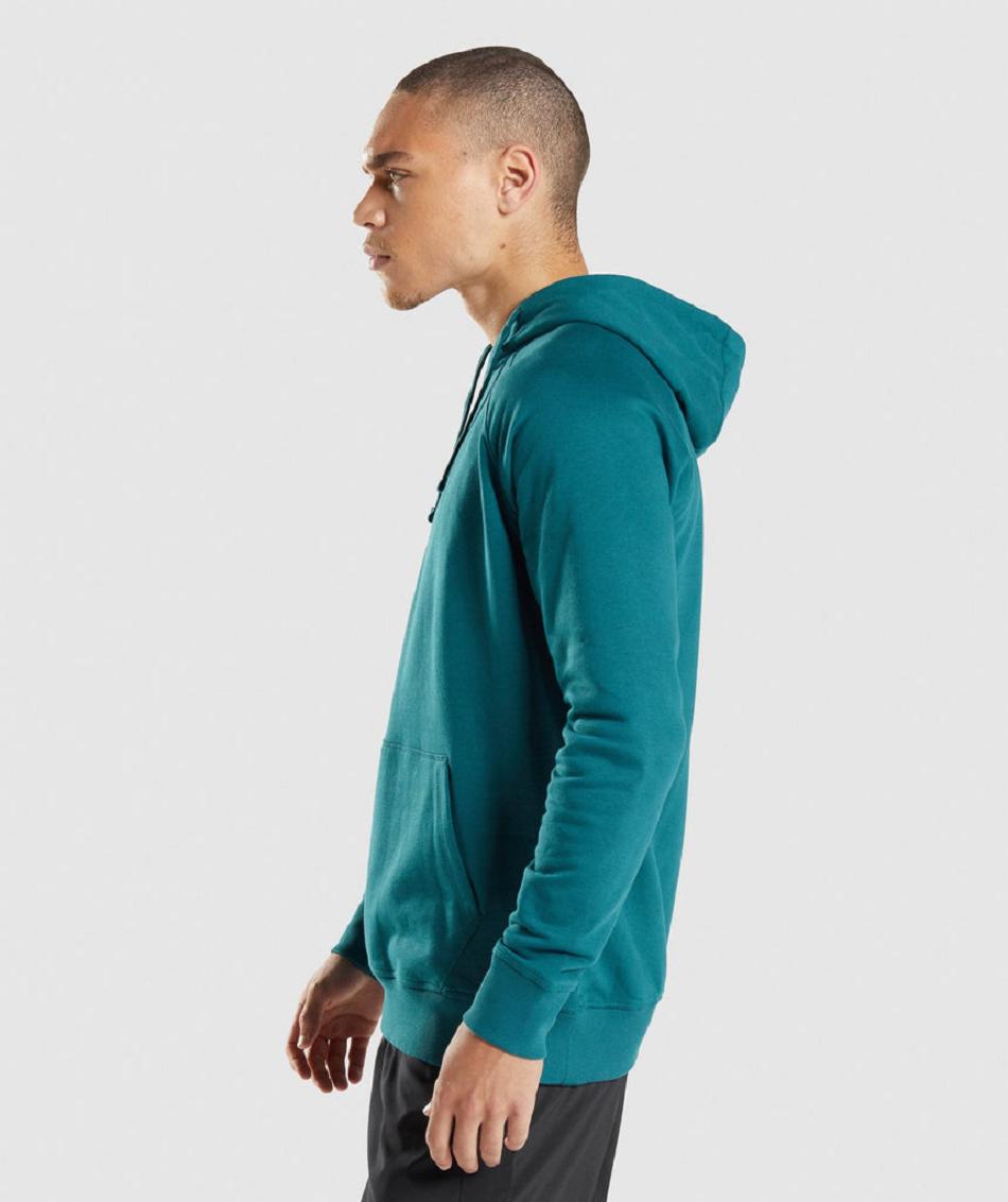 Sudadera Con Capucha Gymshark Sharkhead Infill Hombre Turquesa | MX_3473WNB