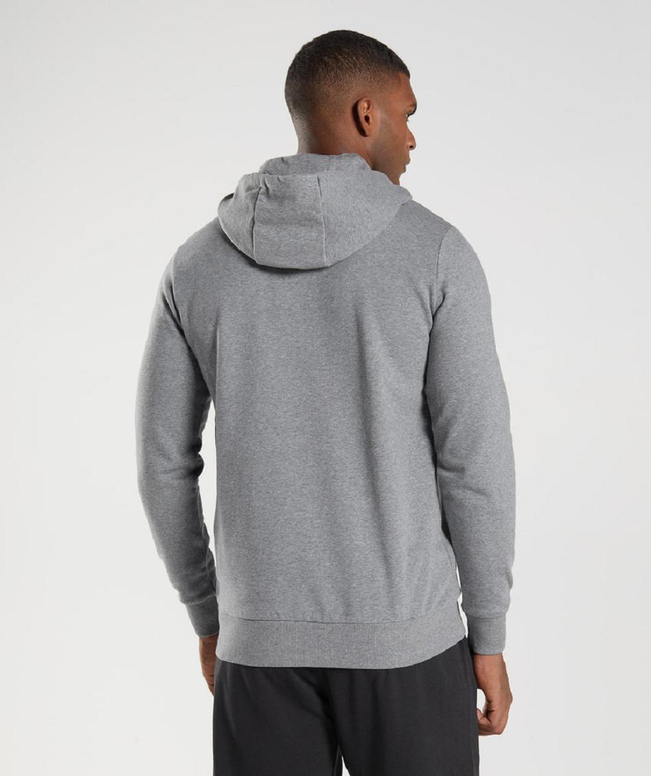 Sudadera Con Capucha Gymshark Sharkhead Infill Hombre Grises | MX_3481AHK