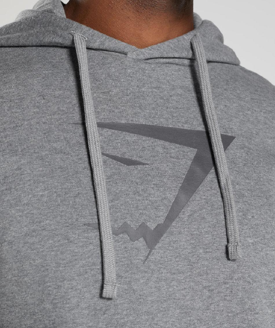 Sudadera Con Capucha Gymshark Sharkhead Infill Hombre Grises | MX_3481AHK