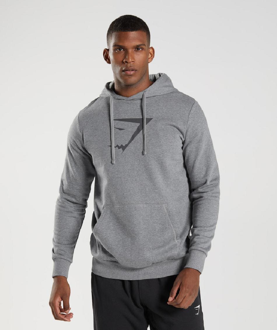 Sudadera Con Capucha Gymshark Sharkhead Infill Hombre Grises | MX_3481AHK