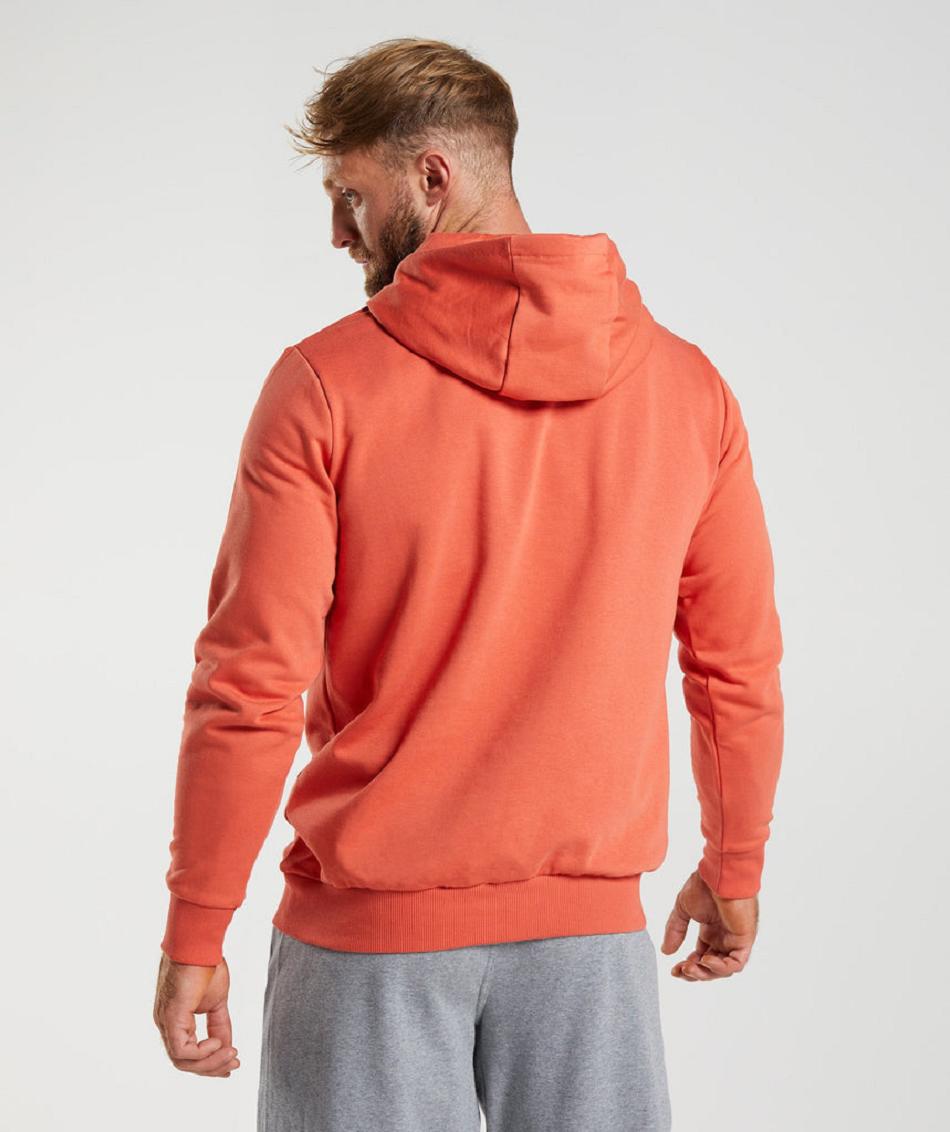 Sudadera Con Capucha Gymshark Sharkhead Infill Hombre Rojos | MX_3486HAP