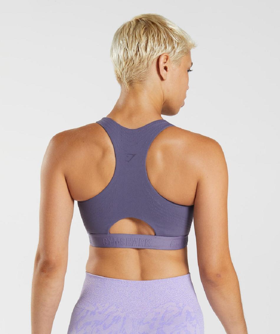 Sujetadores Deportivos Gymshark 315 Performance High Neck Mujer Morados Morados | MX_4061LIS