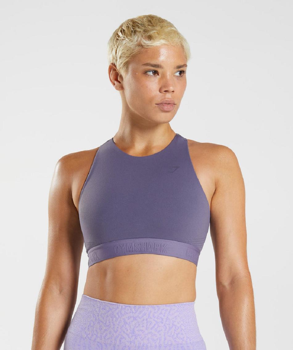 Sujetadores Deportivos Gymshark 315 Performance High Neck Mujer Morados Morados | MX_4061LIS