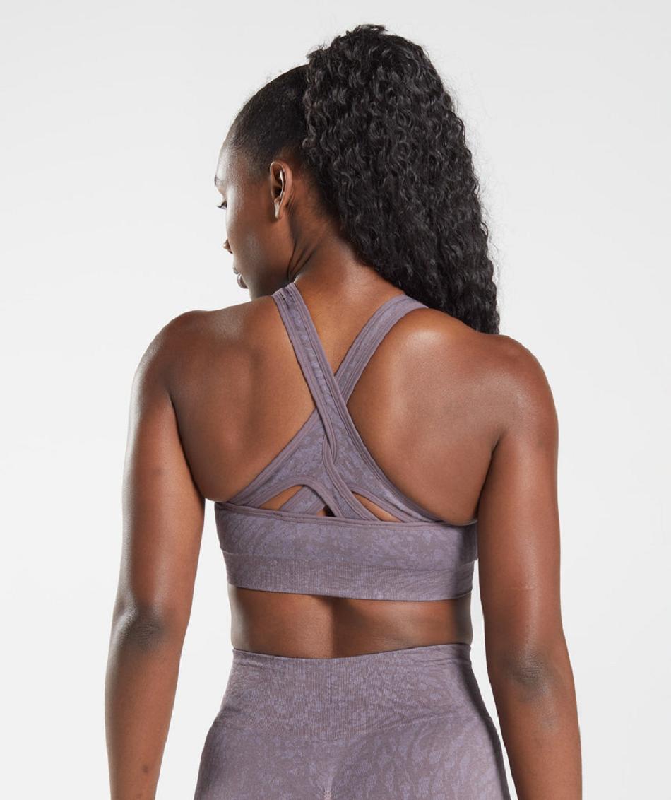 Sujetadores Deportivos Gymshark Adapt Animal Seamless Mujer Morados | MX_4230YXF