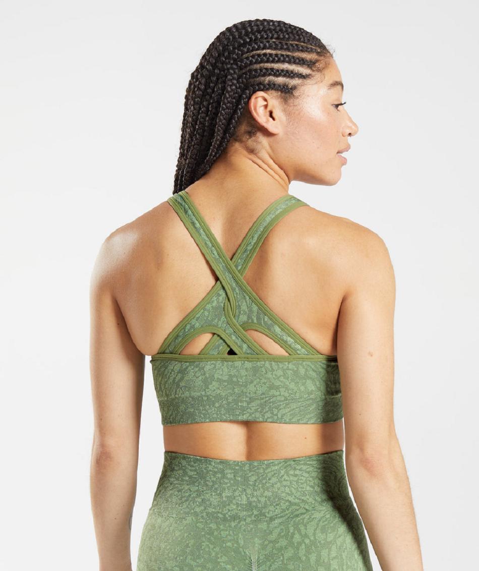 Sujetadores Deportivos Gymshark Adapt Animal Seamless Mujer Verdes | MX_4234PJJ