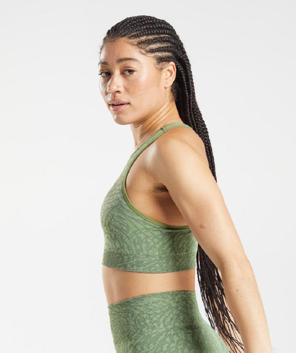 Sujetadores Deportivos Gymshark Adapt Animal Seamless Mujer Verdes | MX_4234PJJ