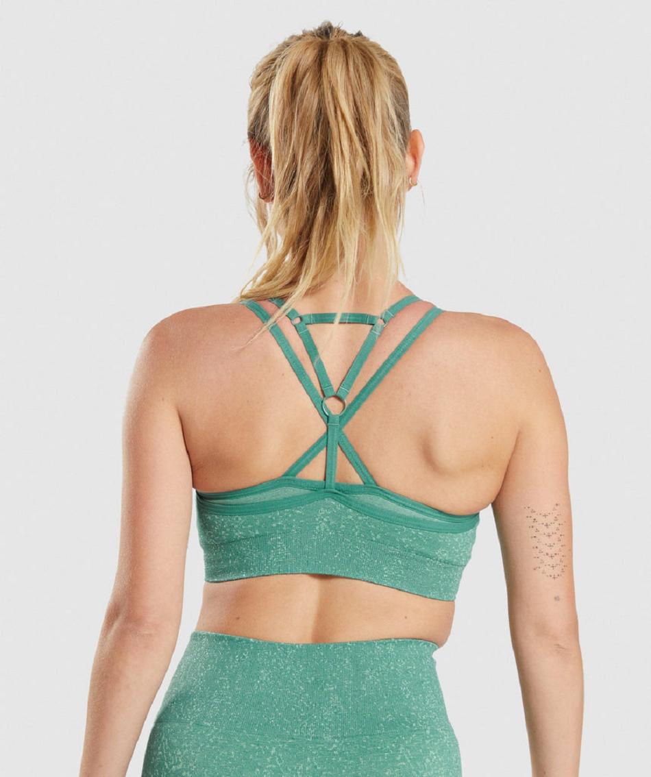 Sujetadores Deportivos Gymshark Adapt Fleck Seamless Mujer Verdes | MX_4105AHK