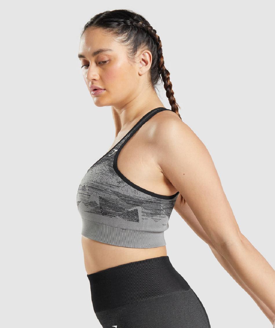 Sujetadores Deportivos Gymshark Adapt Ombre Seamless Mujer Negros | MX_4081SGL