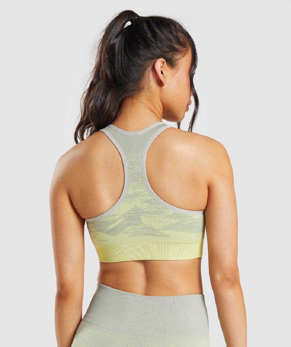 Sujetadores Deportivos Gymshark Adapt Ombre Seamless Mujer Grises Marrom Grises | MX_4087KOR