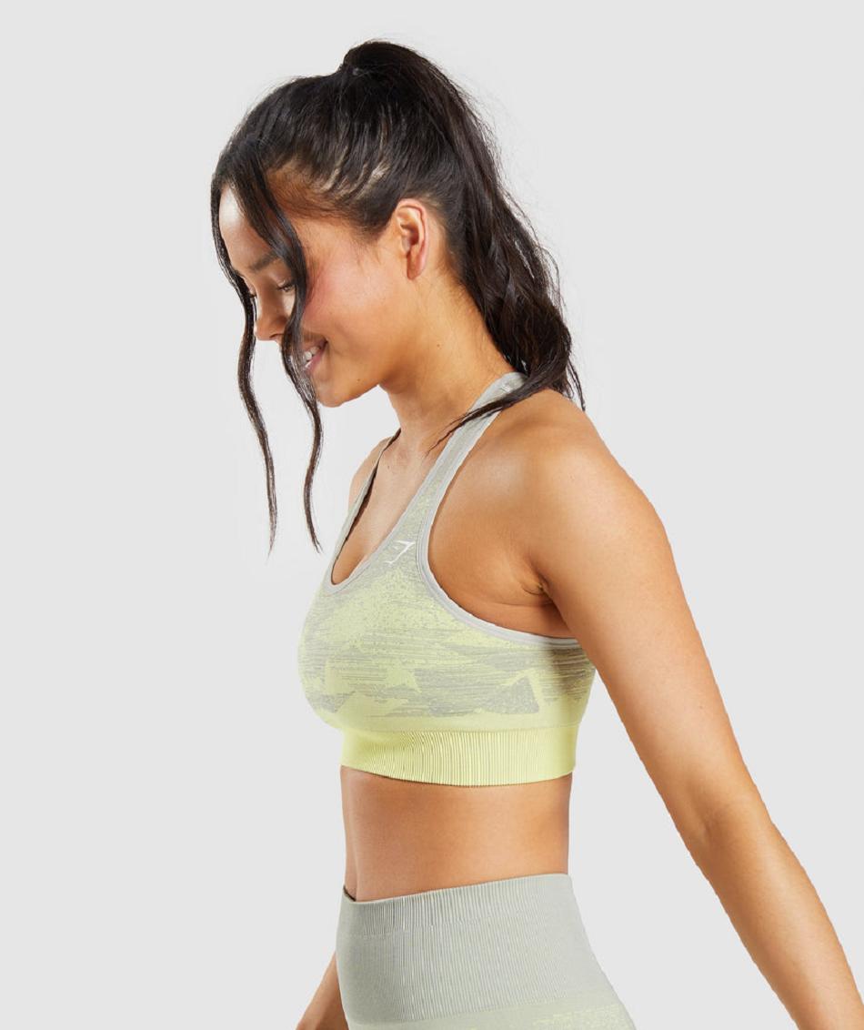 Sujetadores Deportivos Gymshark Adapt Ombre Seamless Mujer Grises Marrom Grises | MX_4087KOR