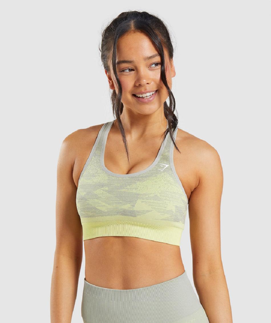 Sujetadores Deportivos Gymshark Adapt Ombre Seamless Mujer Grises Marrom Grises | MX_4087KOR