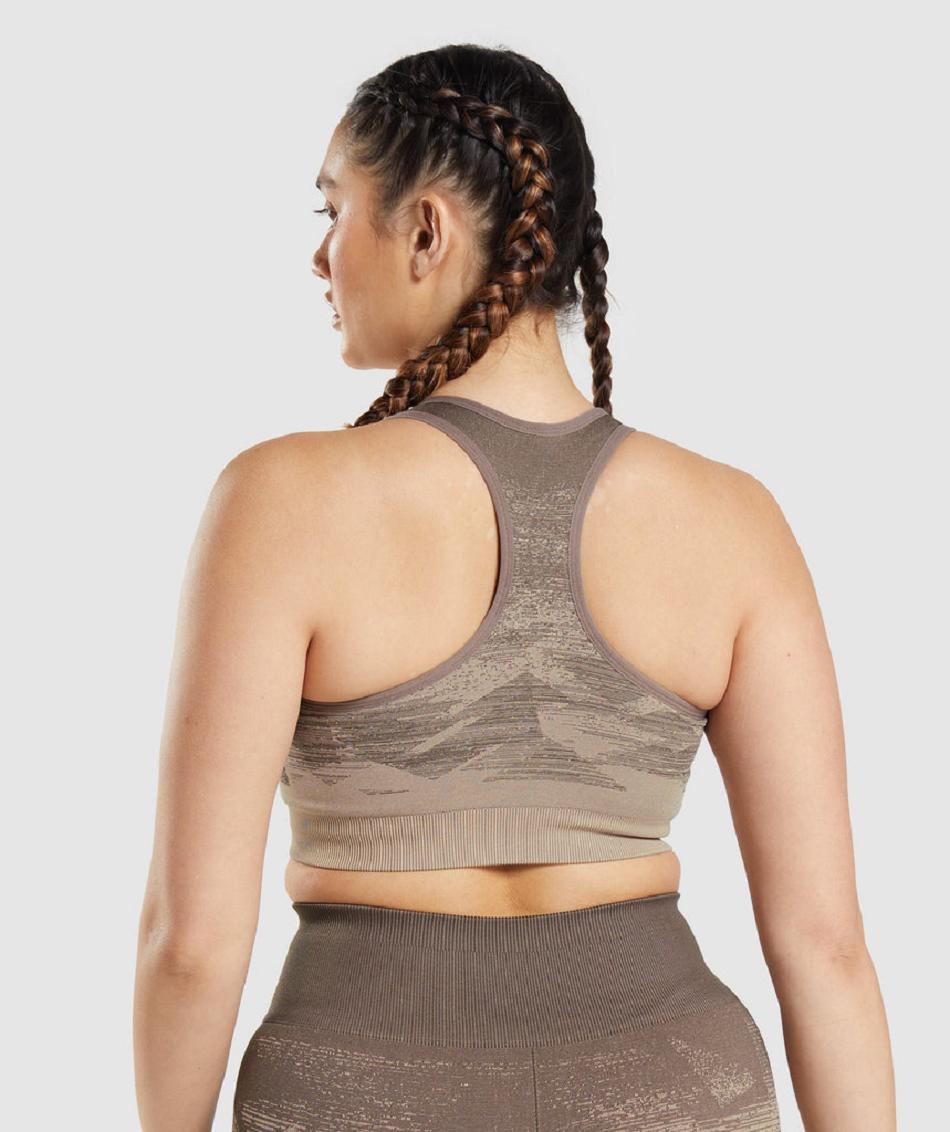 Sujetadores Deportivos Gymshark Adapt Ombre Seamless Mujer Marrom | MX_4089ZUT