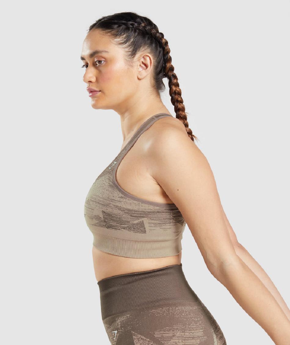 Sujetadores Deportivos Gymshark Adapt Ombre Seamless Mujer Marrom | MX_4089ZUT