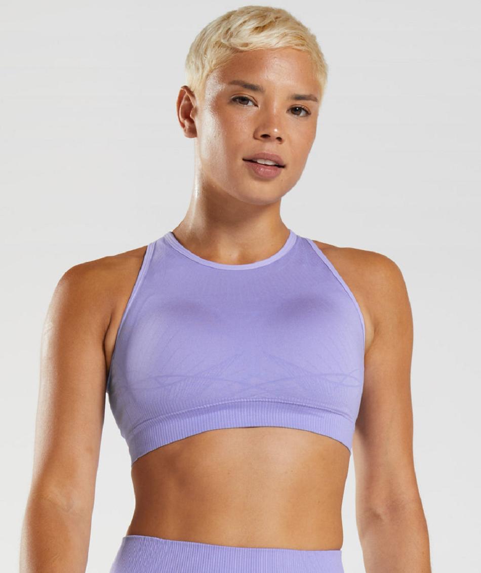 Sujetadores Deportivos Gymshark Apex Seamless Mujer Morados Morados | MX_4130PJJ