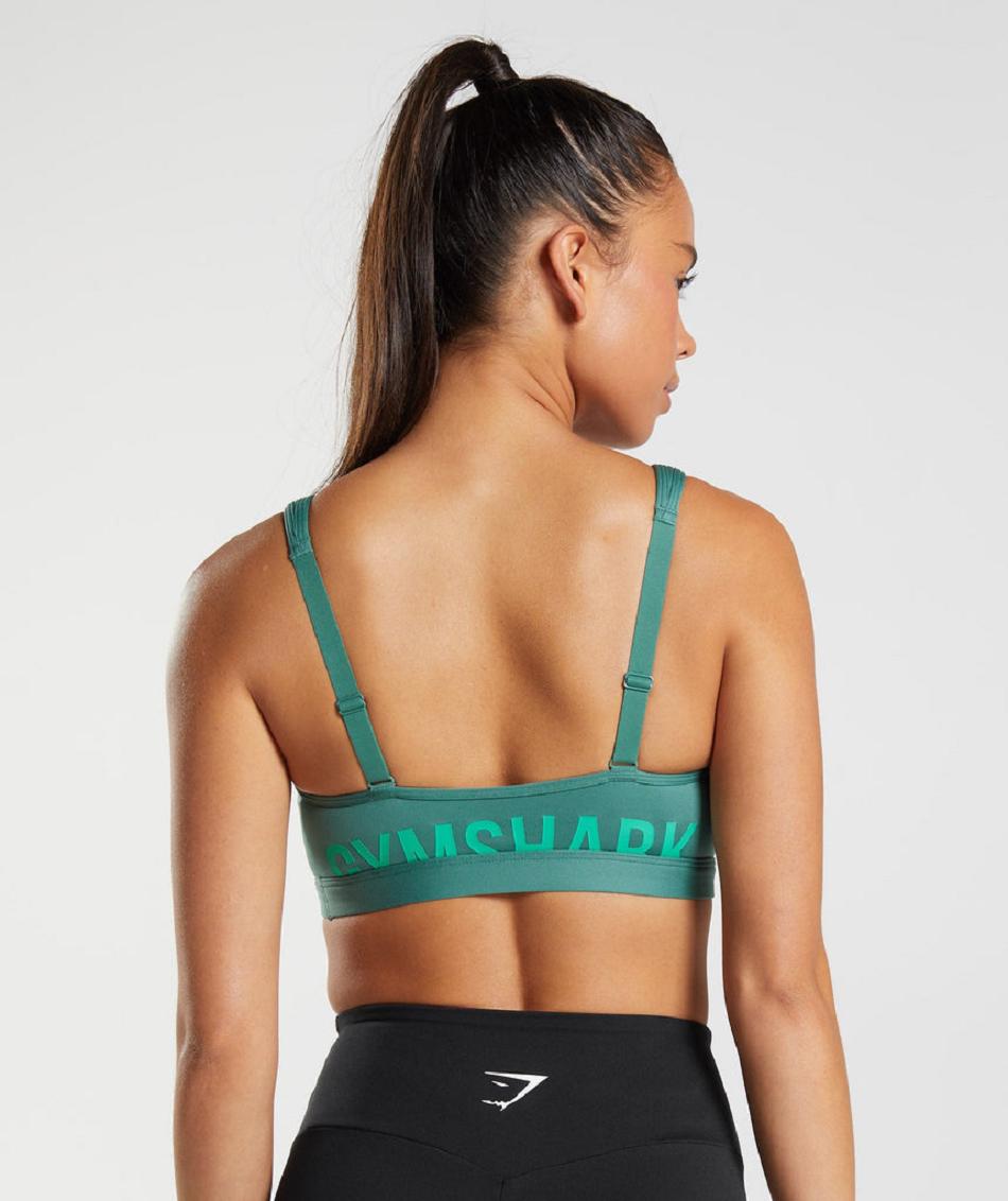 Sujetadores Deportivos Gymshark Fraction Mujer Verdes | MX_4127UZG