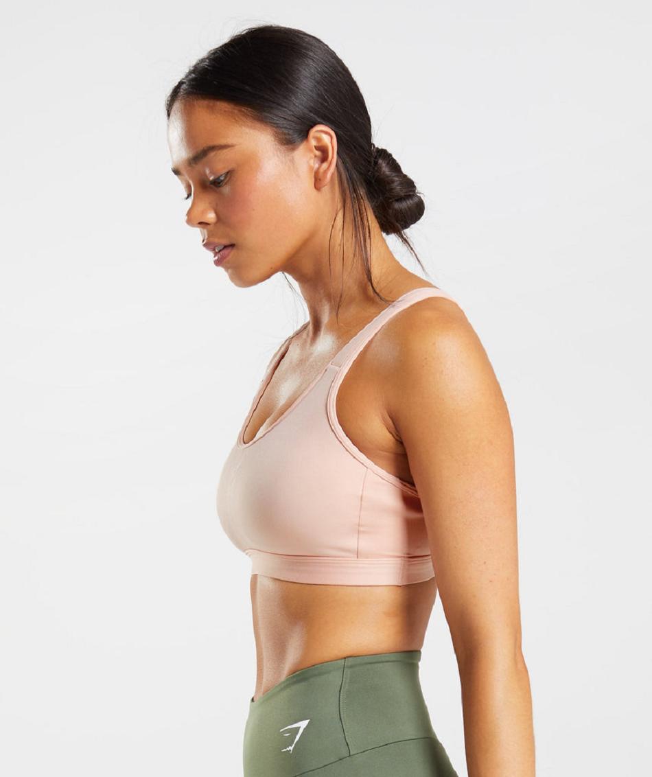 Sujetadores Deportivos Gymshark Fraction Mujer Rosas | MX_4145BEX