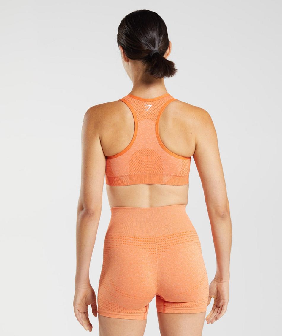 Sujetadores Deportivos Gymshark Vital Seamless 2.0 Mujer Albaricoque Naranjas | MX_4053AHK