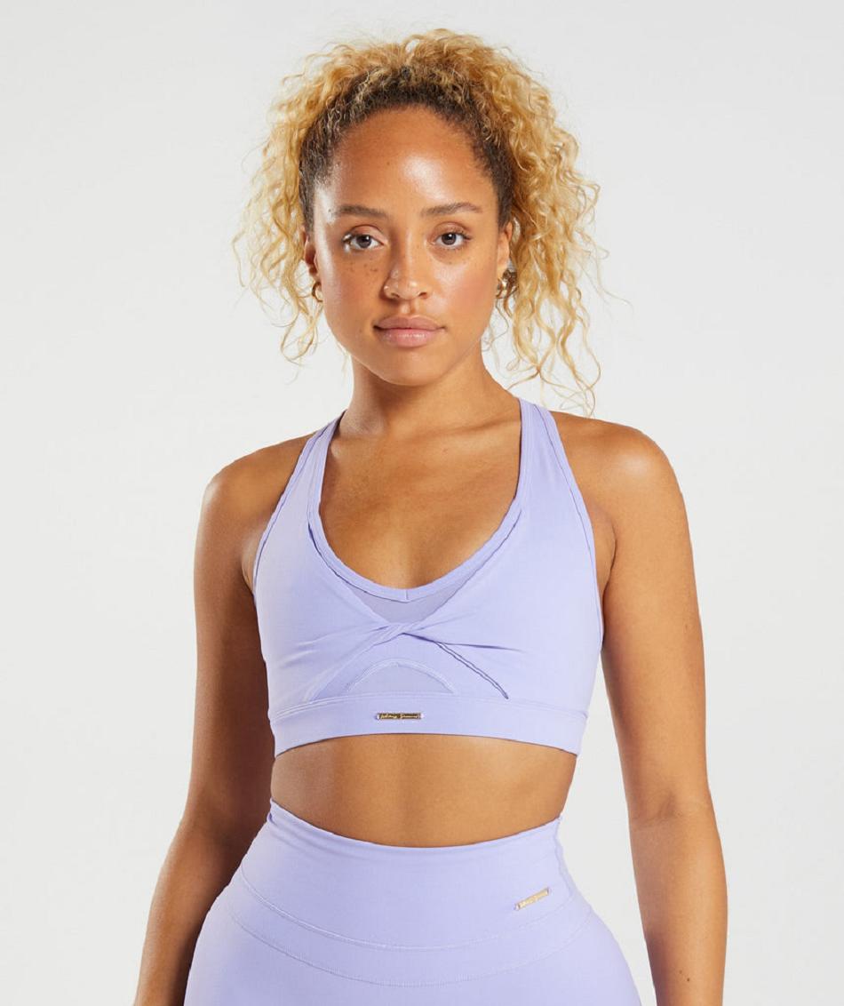 Sujetadores Deportivos Gymshark Whitney Mesh Mujer Morados | MX_4157AHK