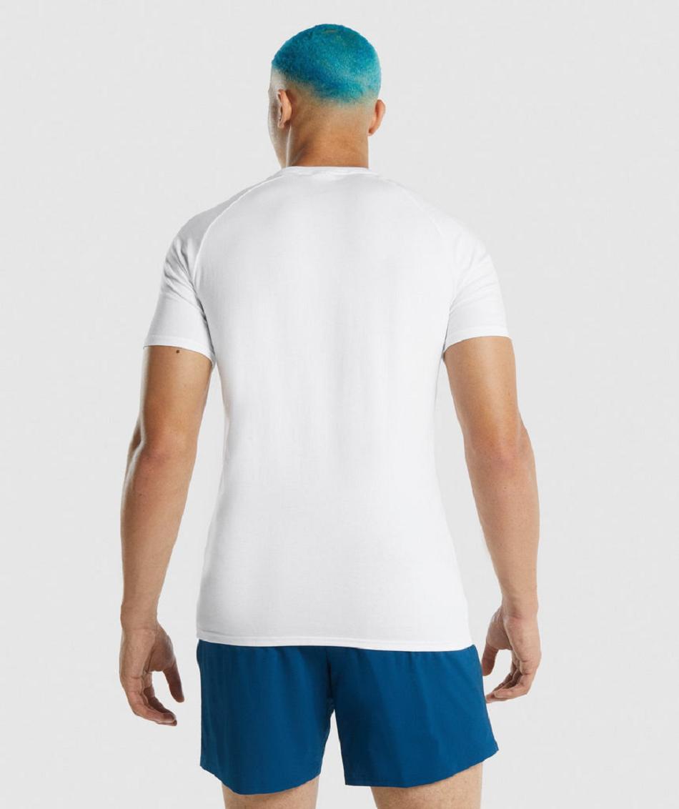 T Shirts Gymshark Apollo Hombre Blancos | MX_3119AHK