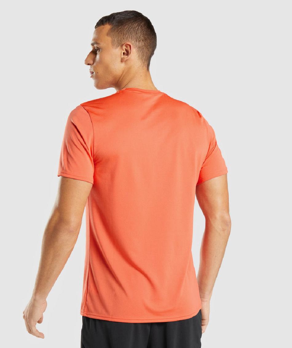 T Shirts Gymshark Arrival Hombre Naranjas | MX_3158TCE